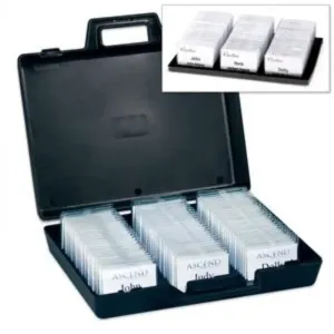 This name tag case can hold 75 name badges up to 4" in height with slots that are 4-1/8" long