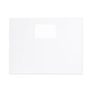 13" x 10" blank envelope has printer-friendly Digiclear material