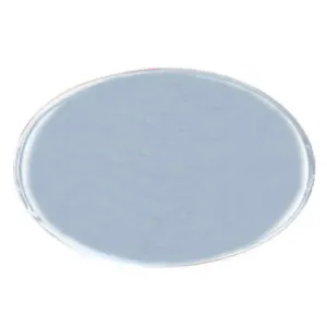 Reusable silver oval metal employee name tag