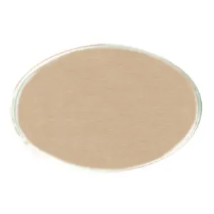 Reusable gold oval metal employee name tag