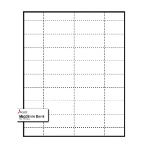 2-9/16" x 1-3/16" Medium Polar™ Badge Paper Name Tag Inserts compatible with inkjet and laser printers
