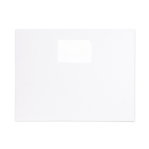 13" x 10" blank envelope has printer-friendly Digiclear material