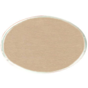 Reusable gold oval metal employee name tag