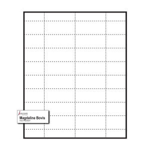 2-9/16" x 1-3/16" Medium Polar™ Badge Paper Name Tag Inserts compatible with inkjet and laser printers
