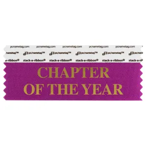 SCOTYBEGO_01 Berry Chapter of the Year titled badge ribbon