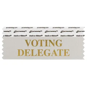 SVODESIGO silver badge ribbon with voting delegate in gold lettering