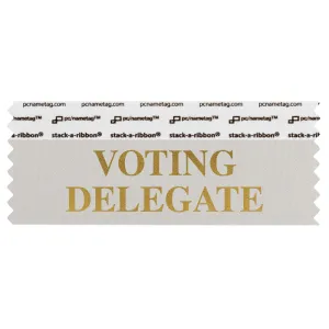 SVODESIGO silver badge ribbon with voting delegate in gold lettering