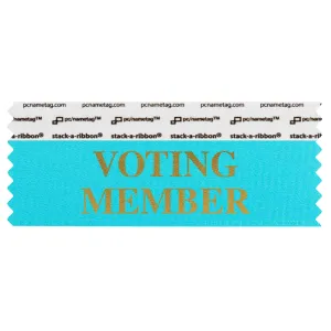 SVOMEJBGO_01 jewel blue voting member badge ribbon