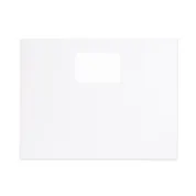 13" x 10" blank envelope has printer-friendly Digiclear material