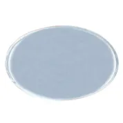 Reusable silver oval metal employee name tag