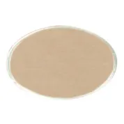Reusable gold oval metal employee name tag