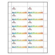 2-15/16 x 1-9/16  Paper Name Tag Insert pre-printed with your logo