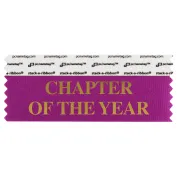 SCOTYBEGO_01 Berry Chapter of the Year titled badge ribbon