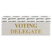 SVODESIGO silver badge ribbon with voting delegate in gold lettering
