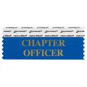 SCHOFBLGO_01 Blue Chapter Officer badge ribbon