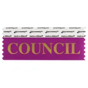 SCOUNBEGO_01 Berry Council titled badge ribbon