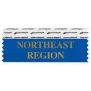 SNEREBLGO_01 Blue Northeast Region badge ribbon