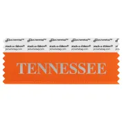 STENNORSI orange badge ribbon with Tennessee in silver lettering