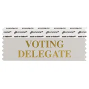 SVODESIGO silver badge ribbon with voting delegate in gold lettering