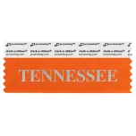 STENNORSI orange badge ribbon with Tennessee in silver lettering